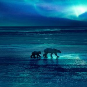 Planet Earth: Frozen Planet II - Rotten Tomatoes