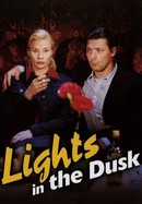 Lights in the Dusk poster image