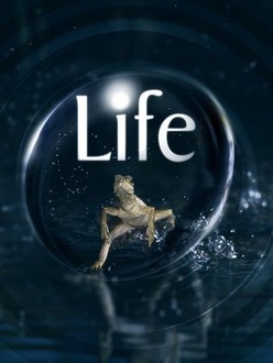 Life (2009) | Rotten Tomatoes