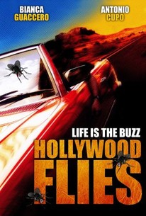 Poster for Hollywood Flies