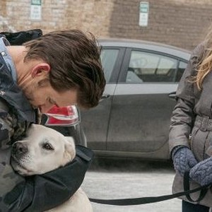 Who Gets the Dog? (2016) - Rotten Tomatoes