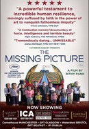 The Missing Picture poster image