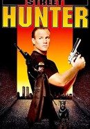 Street Hunter poster image