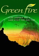 Green Fire poster image