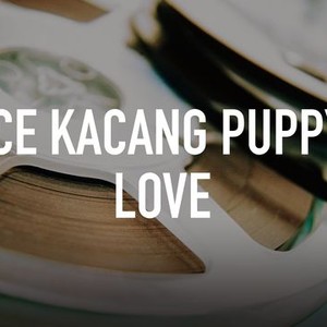Ice Kacang Puppy Love photo 1