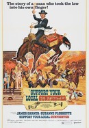 Support Your Local Gunfighter poster image