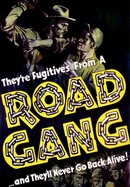 Road Gang poster image