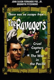 Poster for The Ravagers
