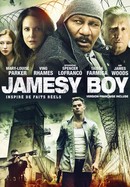 Jamesy Boy poster image