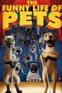 Poster for