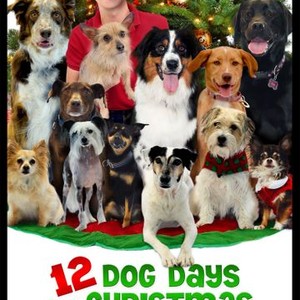 12 Dog Days Till Christmas (2014) photo 9