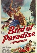 Bird of Paradise poster image