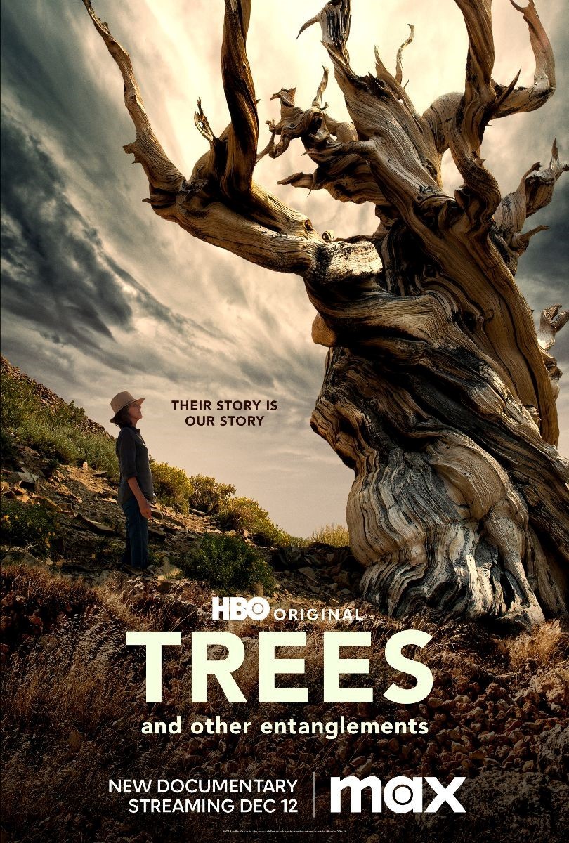 Trees and Other Entanglements | Rotten Tomatoes