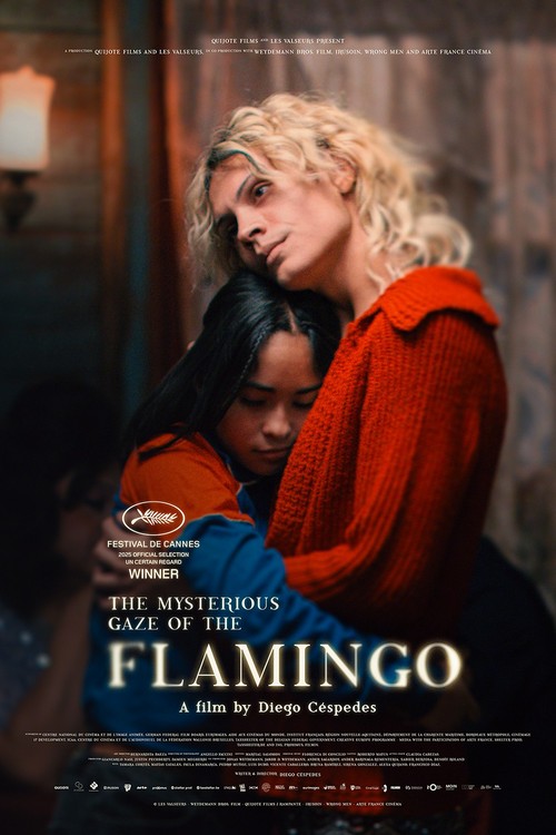 The Mysterious Gaze of the Flamingo poster