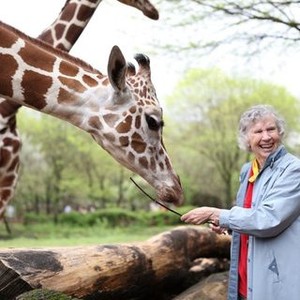 The Woman Who Loves Giraffes photo 3