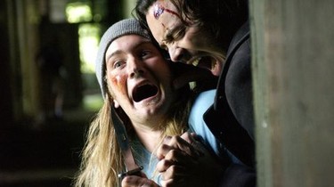 Shrooms | Rotten Tomatoes