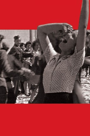 The Spirit of '45 | Rotten Tomatoes