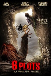 Poster for 6 Plots