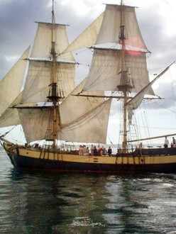(未使用･未開封品)Uss Constellation: Battling for Freedom [DVD] Uss Constellation: Battling for Freedom [DVD]