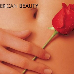 American Beauty photo 19