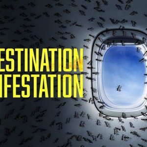 Destination Infestation Rotten Tomatoes