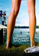 A Swedish Midsummer Sex Comedy poster image