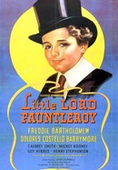 Little Lord Fauntleroy poster image