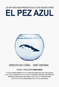 Pez Azul Rd El pez azul | Rotten Tomatoes