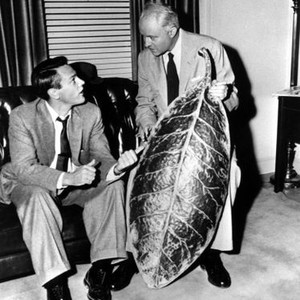 Larry Gates - Rotten Tomatoes