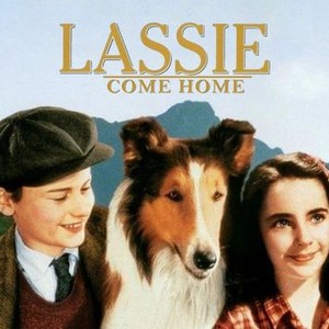 Lassie Web: Movies and Other Media