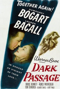 潜行者 / Dark Passage