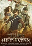 Thugs of Hindostan poster image