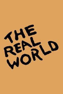 The Real World: Season 3 poster image