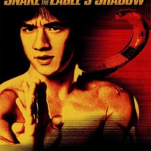 Snake in the Eagle's Shadow (1978) photo 7