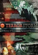 TerrorStorm: A History of Government-Sponsored Terrorism poster image