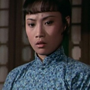 Lady Kung Fu - Rotten Tomatoes