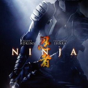 Ninja (2009) photo 8