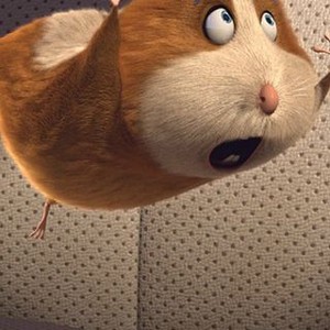 Animal Crackers (2017) photo 9