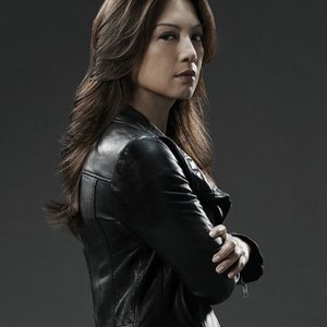 Ming-Na Wen as Agent Melinda May
