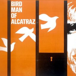 Birdman of Alcatraz photo 13