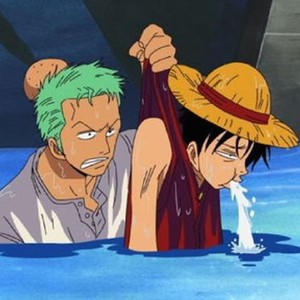 One Piece: Season 5 - Rotten Tomatoes