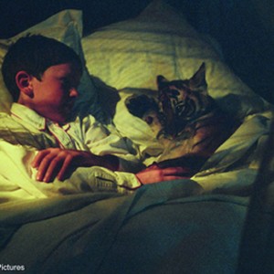 A Scene from the Film Two Brothers. photo 5