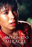 The Maldonado Miracle poster image