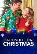 Grounded for Christmas poster image