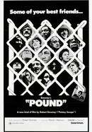 Pound poster image