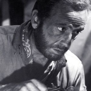 The Treasure of the Sierra Madre (1948) photo 18