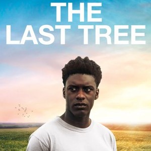 The Last Tree (2019) photo 15
