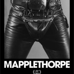 Mapplethorpe photo 14