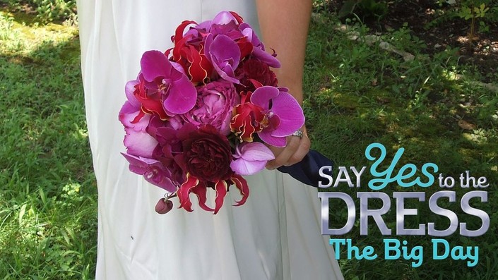 Kelly miller say yes to the dress online