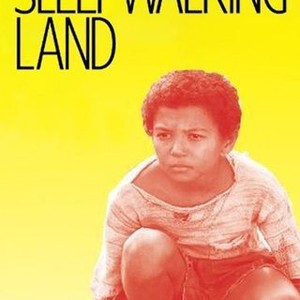 Sleepwalking Land by Mia Couto